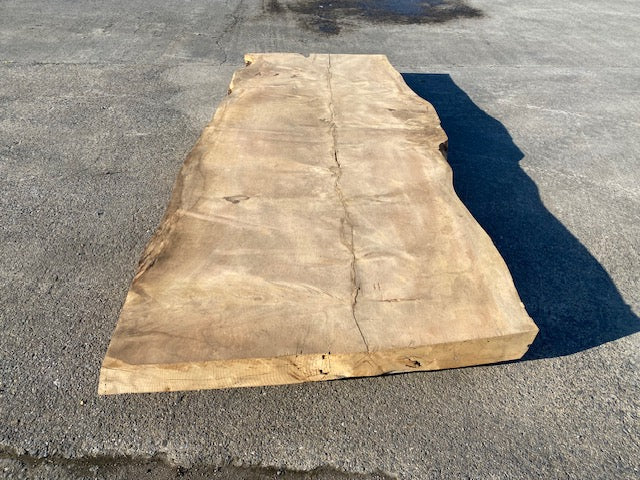 Cedar Live Edge Slab – 2870 x 1270 x 120 mm – Sanded