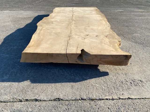 Cedar Live Edge Slab – 2870 x 1270 x 120 mm – Sanded