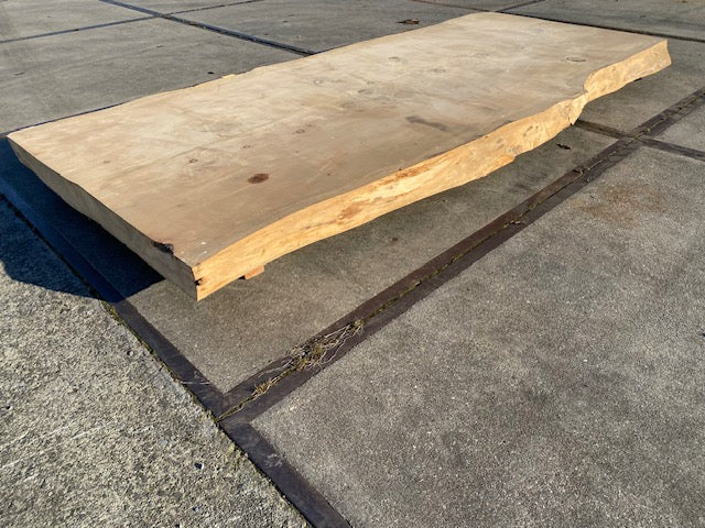 Cedar Live Edge Slab – 2860 x 1200 x 120 mm – Sanded