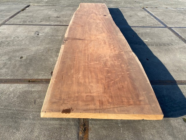 Afrormosia Boomstamblad – 4280 x 1060 x 80 mm – Geschuurd