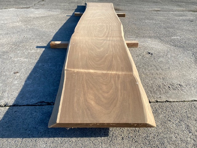Planche en tronc d'Afrormosia – 4500 x 720 x 40 mm