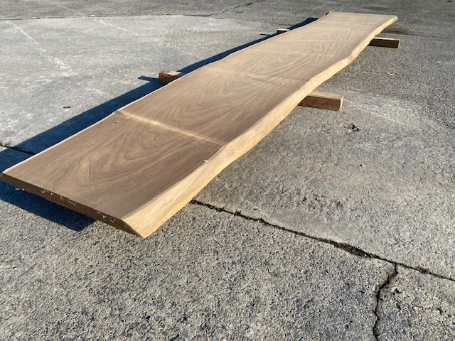 Planche en tronc d'Afrormosia – 4500 x 720 x 40 mm