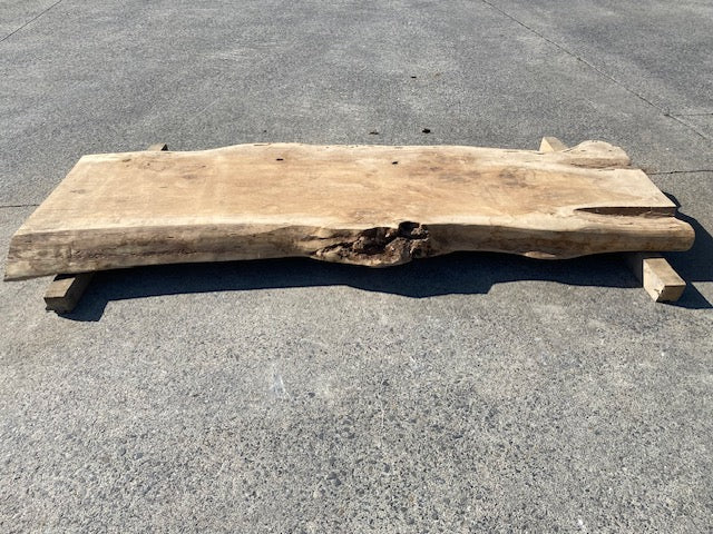 Ceder Boomstamblad – 2300 x 680 x 100 mm – Geschuurd