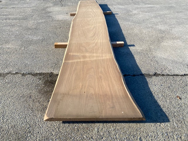 Planche en tronc d'Afrormosia – 4500 x 720 x 40 mm