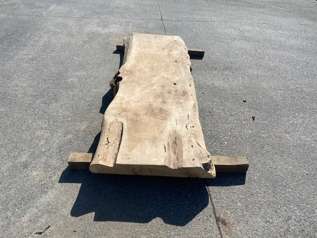 Poplar Log Leaf – 3480 x 760 x 80 mm – Sanded