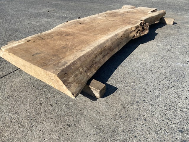 Poplar Log Leaf – 3480 x 760 x 80 mm – Sanded