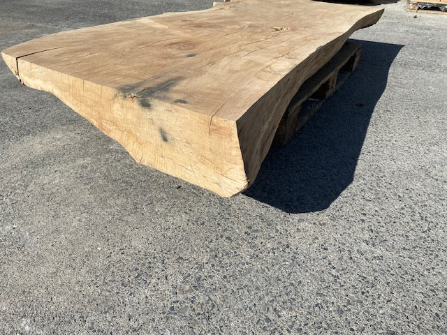 Ceder Boomstamblad – 2280 x 760 x 180 mm – Geschuurd